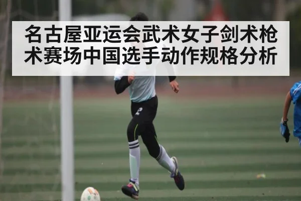 名古屋亚运会武术女子剑术枪术赛场中国选手动作规格分析
